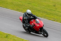 PJ-Motorsport-2019;anglesey-no-limits-trackday;anglesey-photographs;anglesey-trackday-photographs;enduro-digital-images;event-digital-images;eventdigitalimages;no-limits-trackdays;peter-wileman-photography;racing-digital-images;trac-mon;trackday-digital-images;trackday-photos;ty-croes